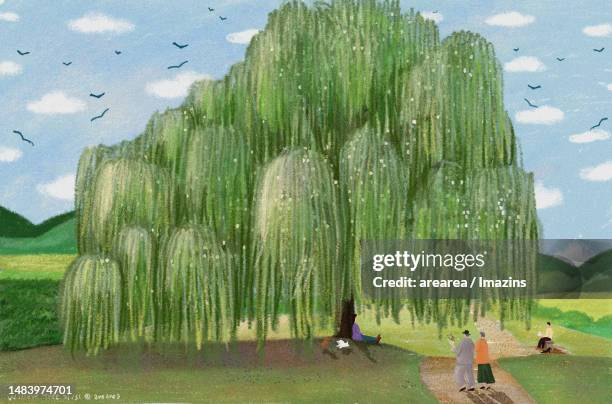 willow, tree, season, scenery, forest, green - willow tree stock illustrations