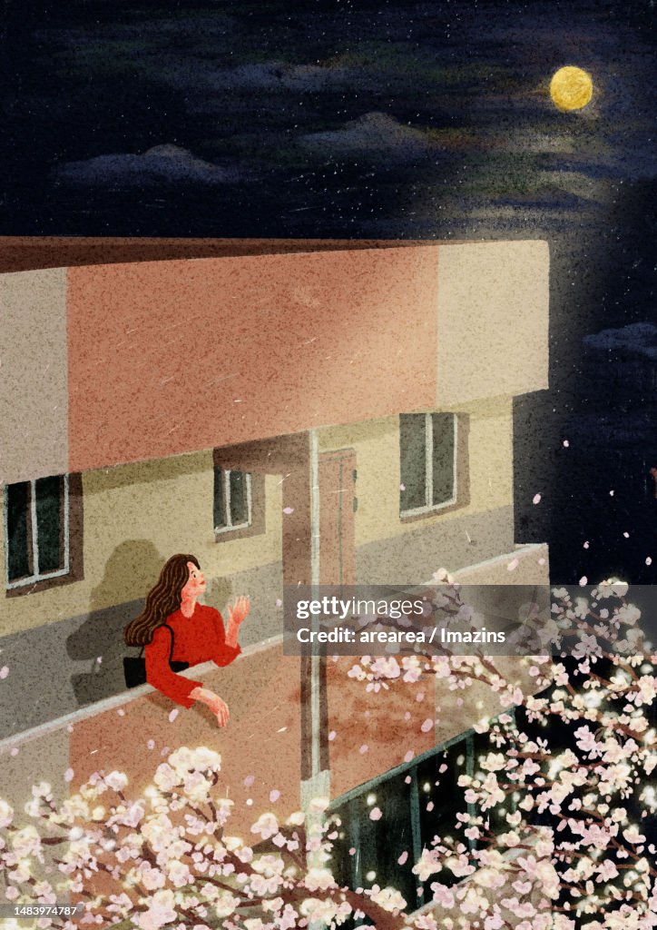 Apartment, night, view, cherry, blossom, spring, moon, daily, life