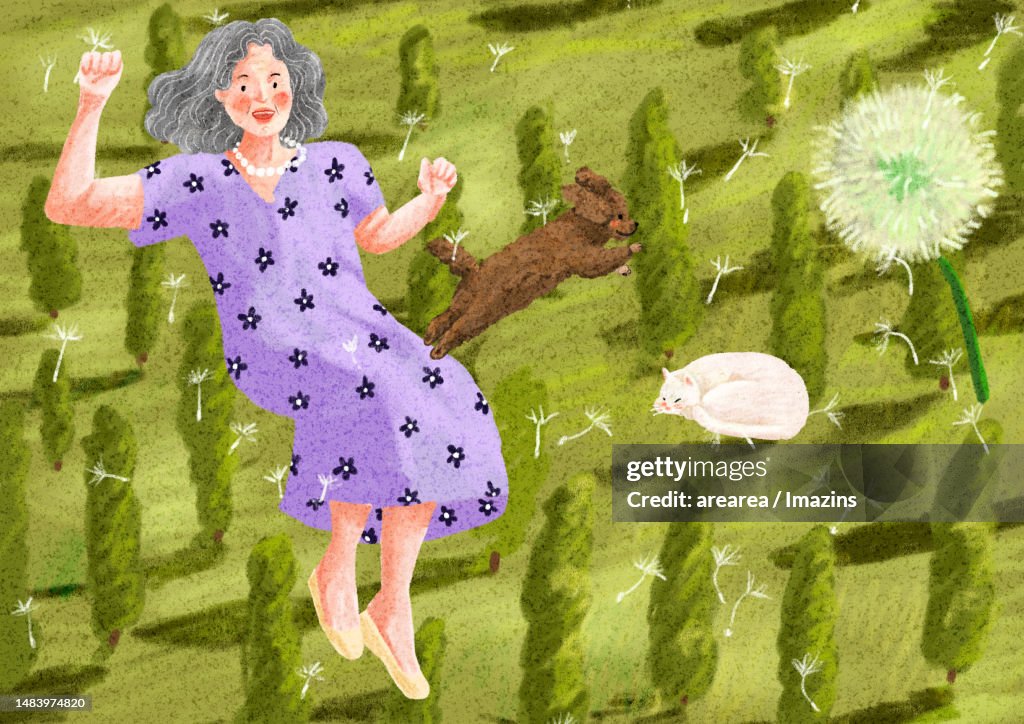 Puppy, Poodle, Cat, Nap, Granny, Scenery, Dandelion, Flower, Seeds, Daily, Happiness