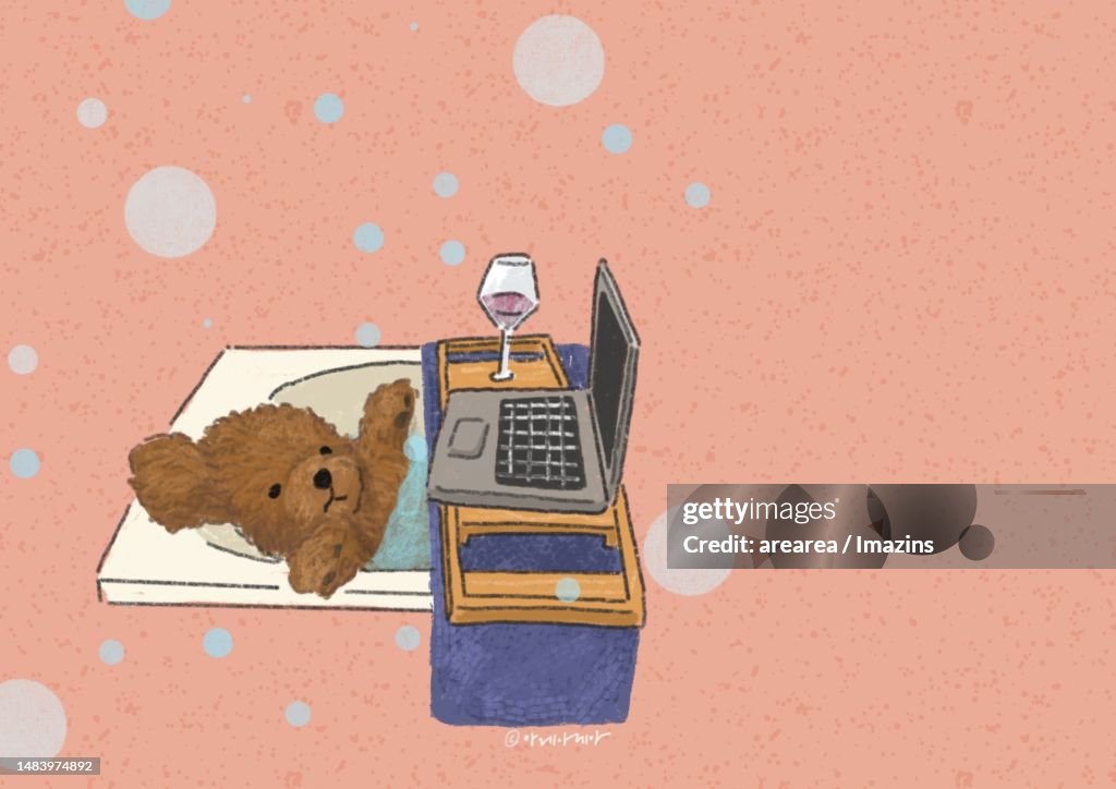 Poodle, bathtub, relaxing, half-bath, cute, scenery, puppy