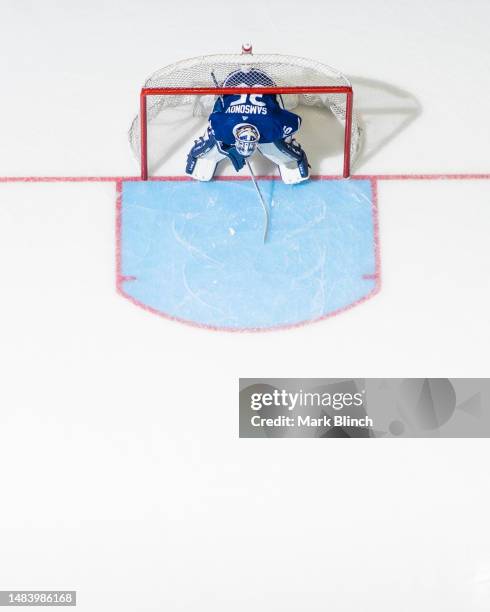 Ilya Samsonov of the Toronto Maple Leafs stands in net against the Tampa Bay Lightning during the second period in Game Two of the First Round of the...