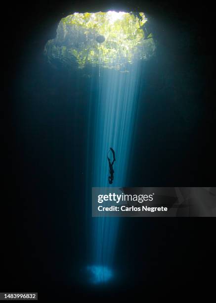 discovering depths - free diving stockfoto's en -beelden