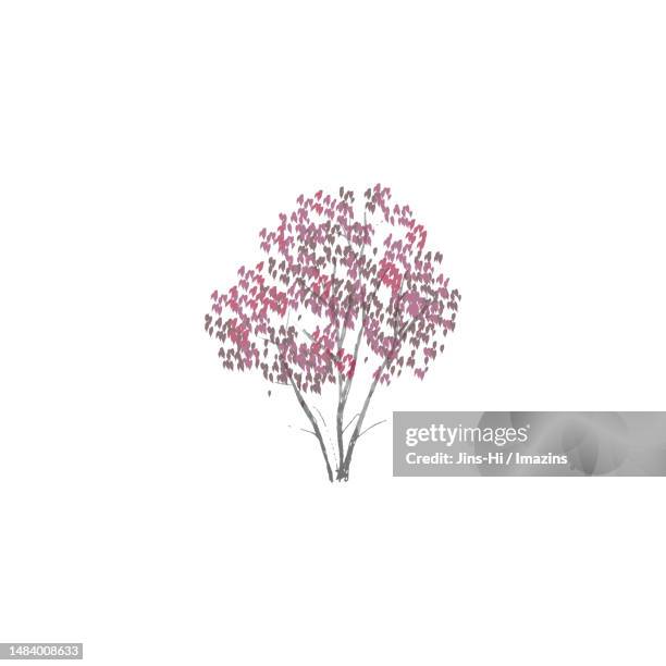 Arror Tree Vector Arrow Tree Dangerous Prank High-Res Vector Graphic - Getty Images