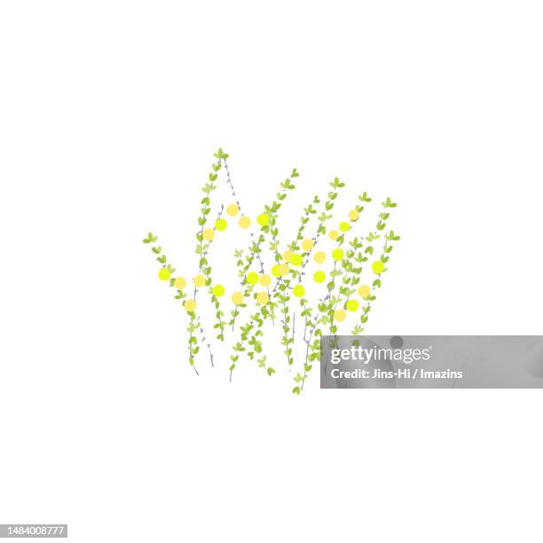 tangerine tree, memory - single tree stock illustrations