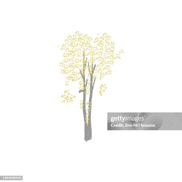 tulip tree, rural happiness - single tree stock illustrations