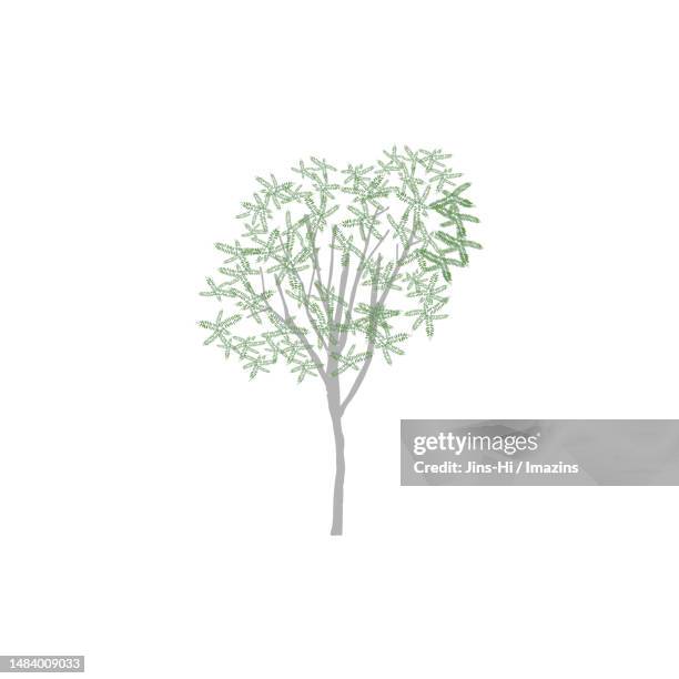 leather tree, frame - single tree stock illustrations