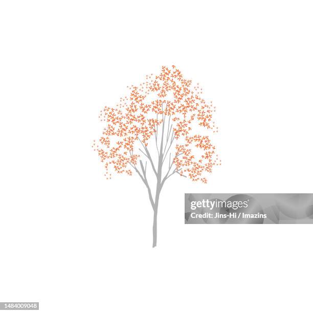 duplicator, promise - single tree stock illustrations