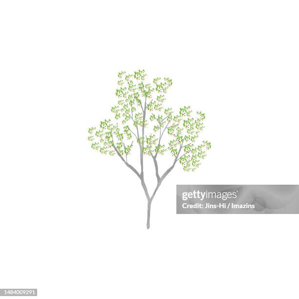 when peeing, enthusiasm - single tree stock illustrations