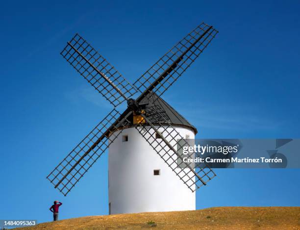 the giants of don quixote, windmills at tembleque, castilla la mancha, spain. - テンブレケ ストックフォトと画像