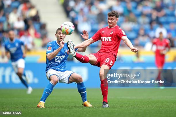 Andrej Kramaric of TSG Hoffenheim and Eric Martel of 1.FC Koeln battle for the ball during the Bundesliga match between TSG Hoffenheim and 1. FC Köln...