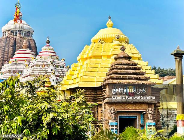 puri jagannath temple from front with clear blue sky as backdrop - jagannath stock-fotos und bilder