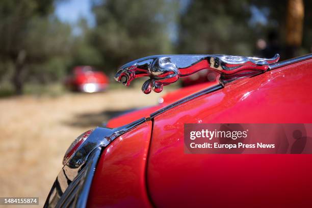 Detail of a Jaguar car at the second edition of the Autopia Show, at the Santander Forest in Boadilla del Monte, on 22 April, 2023 in Madrid, Spain....