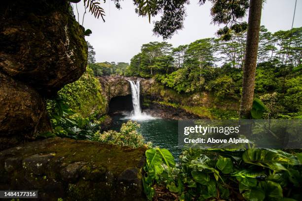 beautiful waterfall lagoon in tropical rainforest - hawaii stock pictures, royalty-free photos & images