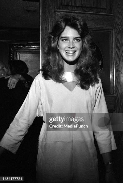 Susan Saint James Susan Saint James