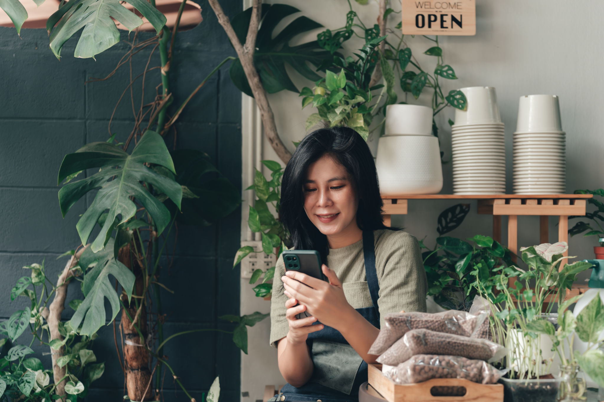 online plant shop