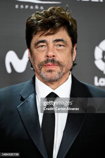 Puerto Rican actor Benicio del Toro attends the Platino Awards for Ibero-American Cinema 2023 at Palacio Municipal de Congresos-IFEMA Madrid on April...