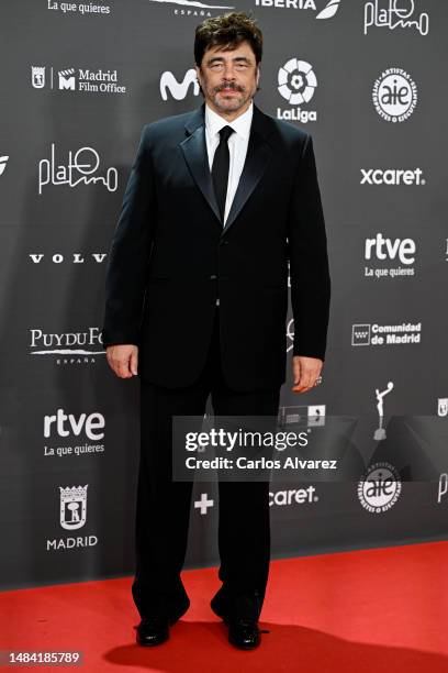 Puerto Rican actor Benicio del Toro attends the Platino Awards for Ibero-American Cinema 2023 at Palacio Municipal de Congresos-IFEMA Madrid on April...