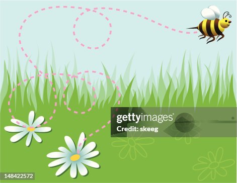 Spring Iza Cumin Spring Iza Cumin