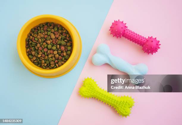 pet food in bowl and pet toys rubber bones. diet for domestic animals cats and dogs. - blue bowl stockfoto's en -beelden