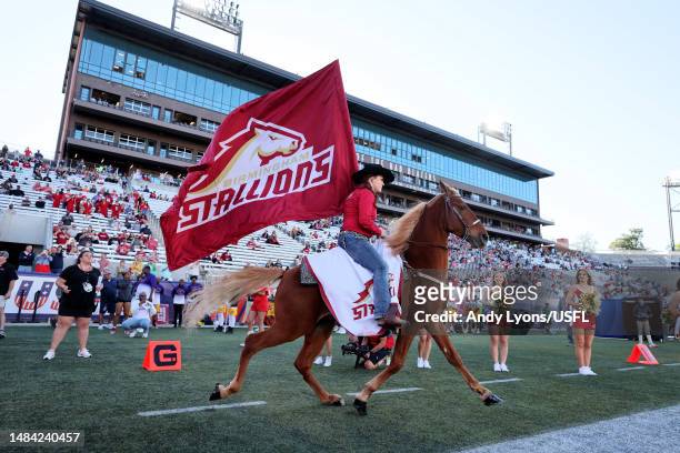 Stallion trots on the field prior to the game between the Memphis Showboats and the Birmingham Stallions at Protective Stadium on April 22, 2023 in...