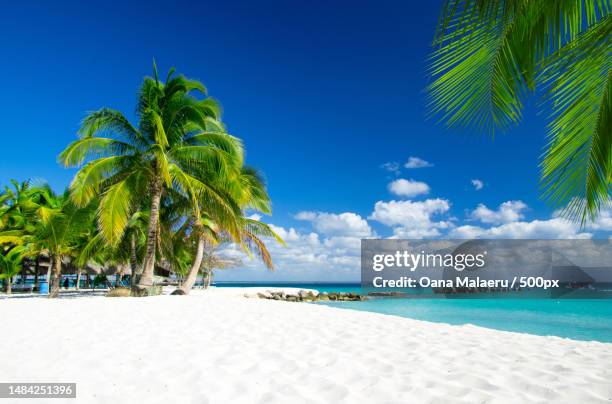 scenic view of sea against sky,romania - coconut white background stockfoto's en -beelden