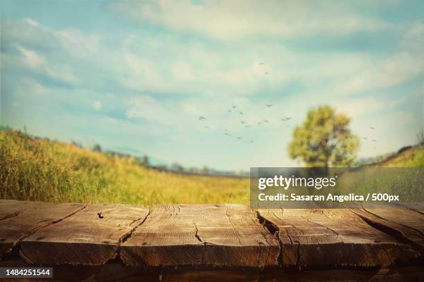 close-up of wooden fence on field against sky,romania - table only close up stock-fotos und bilder