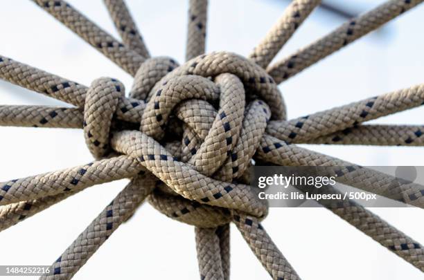 lots of ropes and a big knot against the blue sky - tied knot stock pictures, royalty-free photos & images