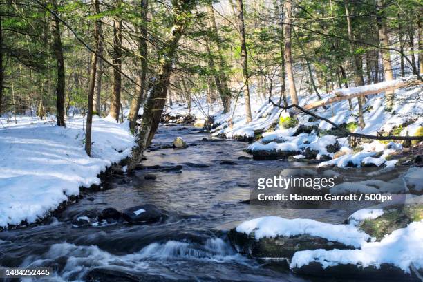 scenic view of river flowing through forest during winter,united states,usa - connecticut landscape stock pictures, royalty-free photos & images