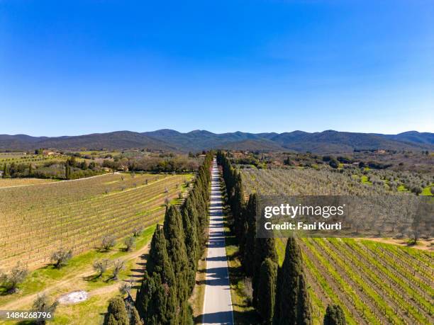 estrada do cipreste de bolgheri do drone - italian cypress - fotografias e filmes do acervo