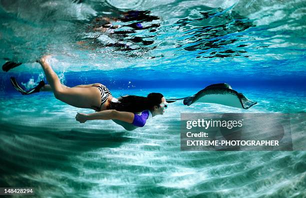 chasing the stingray - stingray stock pictures, royalty-free photos & images