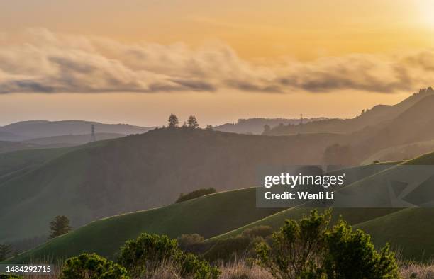 sunset at russian ridge open space preserve - redwood city stock pictures, royalty-free photos & images