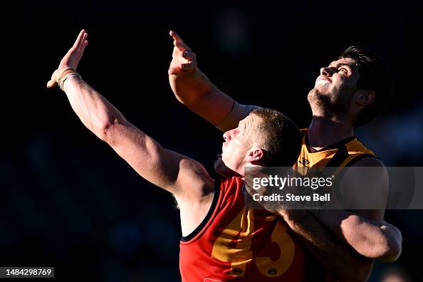 Ned Reeves of the Hawks and Reilly O'Brien of the Crows competes for ...