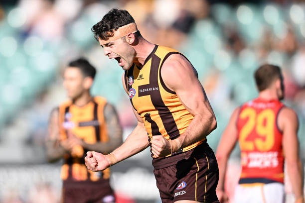 Conor Nash of the Hawks celebrates a goal during the round six AFL match between Hawthorn Hawks and Adelaide Crows at University of Tasmania Stadium,...