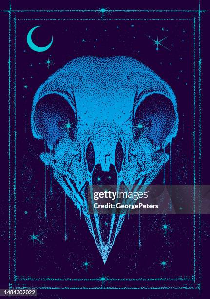 gothic style bird skull with stars and moon - bald eagle head stock illustrations