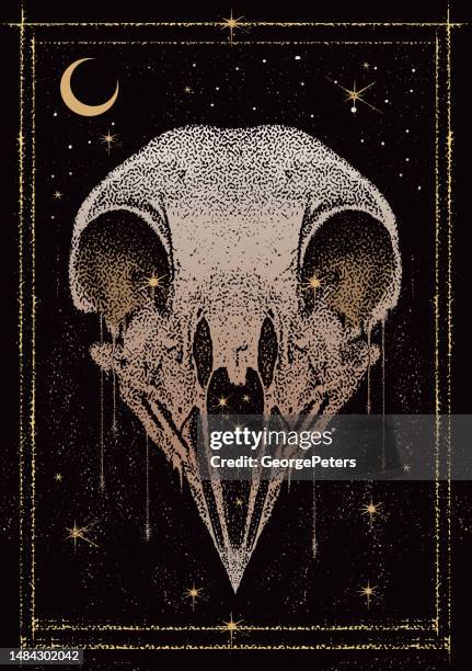 Skeletal Raptor Photos and Premium High Res Pictures - Getty Images