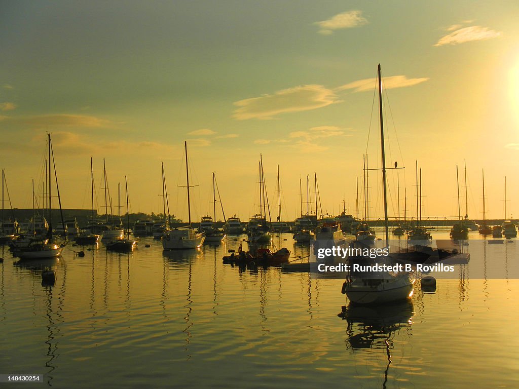 Bay with anchored yachts