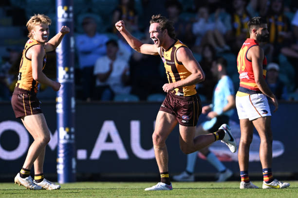Jack Scrimshaw of the Hawks celebrates a goal during the round six AFL match between Hawthorn Hawks and Adelaide Crows at University of Tasmania...