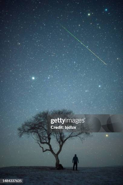 2021年12月14日に中国内モンゴル自治区のふたご座流星群 - meteor shower ストックフォトと画像
