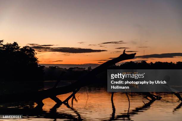sunset at laguna garzacocha in provincia de orellana, amazonas region, ecuador - yasuni national park stock pictures, royalty-free photos & images