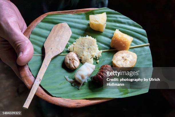 traditional indigenous meal served on a banana leaf, amazonas region, ecuador - yasuni national park stock pictures, royalty-free photos & images