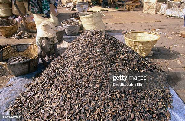 mopti market engulfs the senses, particularly the olfactory, if you get too close to this pile of dried fish. - engulfs stock pictures, royalty-free photos & images