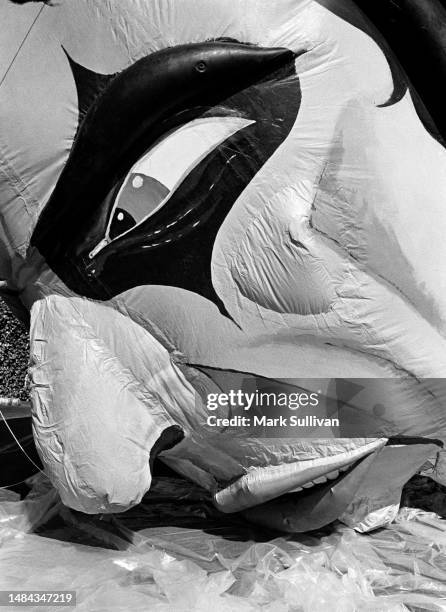 Giant Alice Cooper hot air promotional balloon being inflated in Tower Records parking lot, West Hollywood, CA 1975.