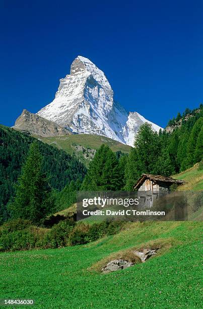 the matterhorn towering above green pastures, wooden hut prominent. - wallis stockfoto's en -beelden