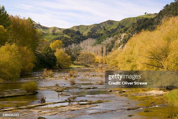 17 Wairoa River Stock Photos, HighRes Pictures, and Images Getty Images
