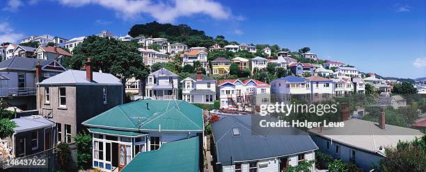 houses at oriental bay. - new zealand housing stock pictures, royalty-free photos & images