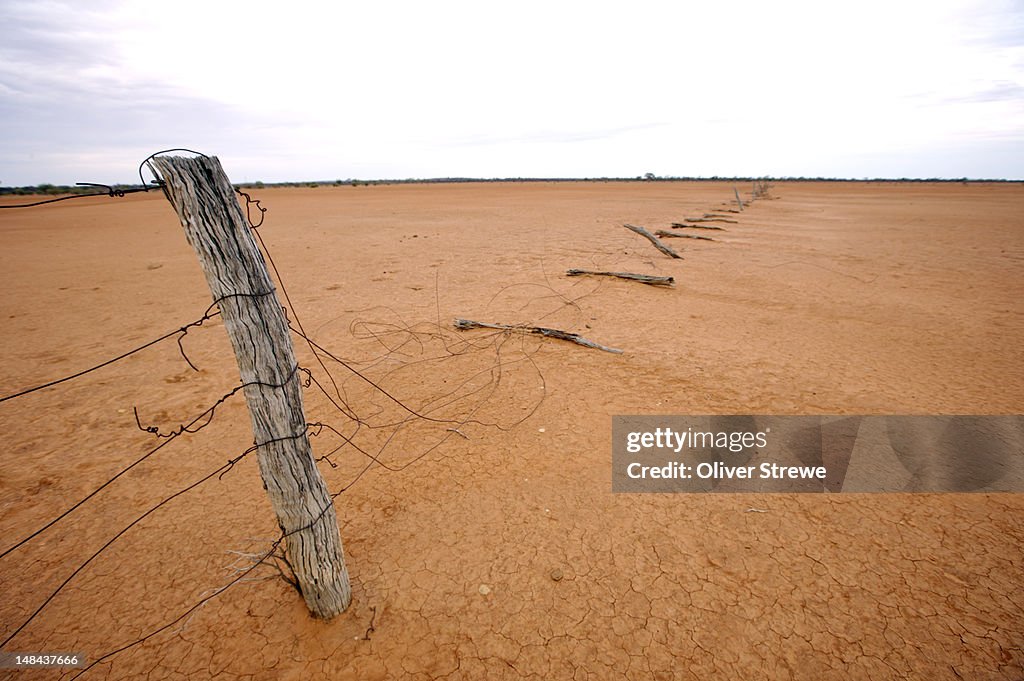 Fence line on Brindingabba Station, Western NSW.