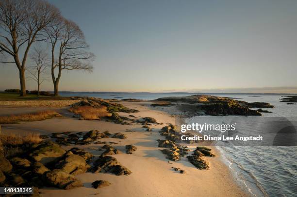 rocky beach - rye new york stock pictures, royalty-free photos & images