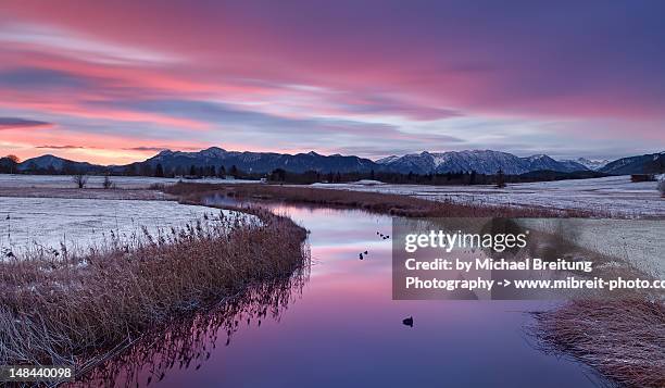 winter light - murnau stock pictures, royalty-free photos & images