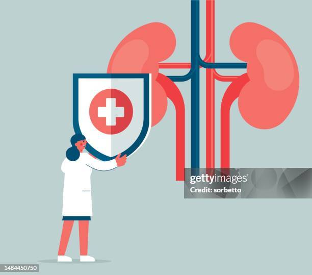 stockillustraties, clipart, cartoons en iconen met kidney organ protection - nierbekkenontsteking