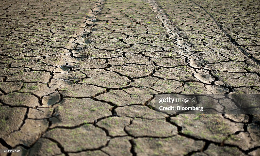 Disaster Declared in 26 States as Drought Sears U.S.